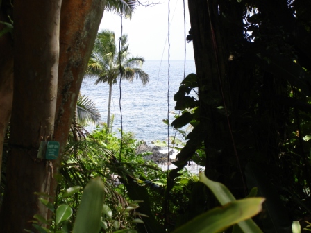 Ocean view from Hawaii